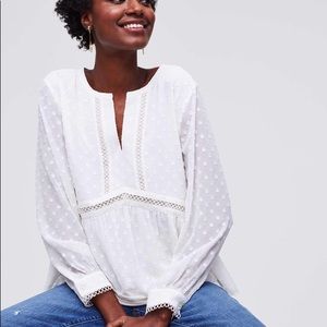 Ann Taylor Loft Lace Dot Peplum Blouse, NWT, XS